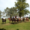 Don Silvano Fiesta Gaucha